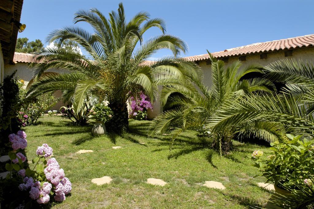 Hotel Pineto Biguglia  Rum bild